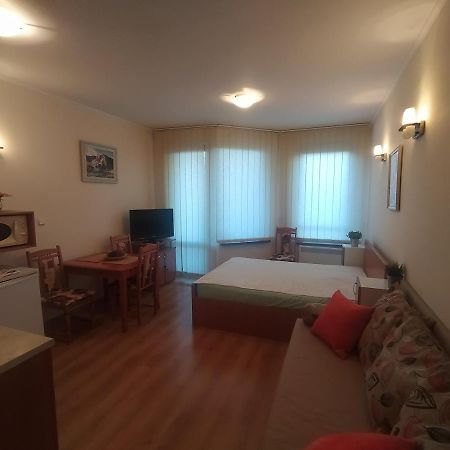 Pine Tree Studio B11 Bansko Extérieur photo