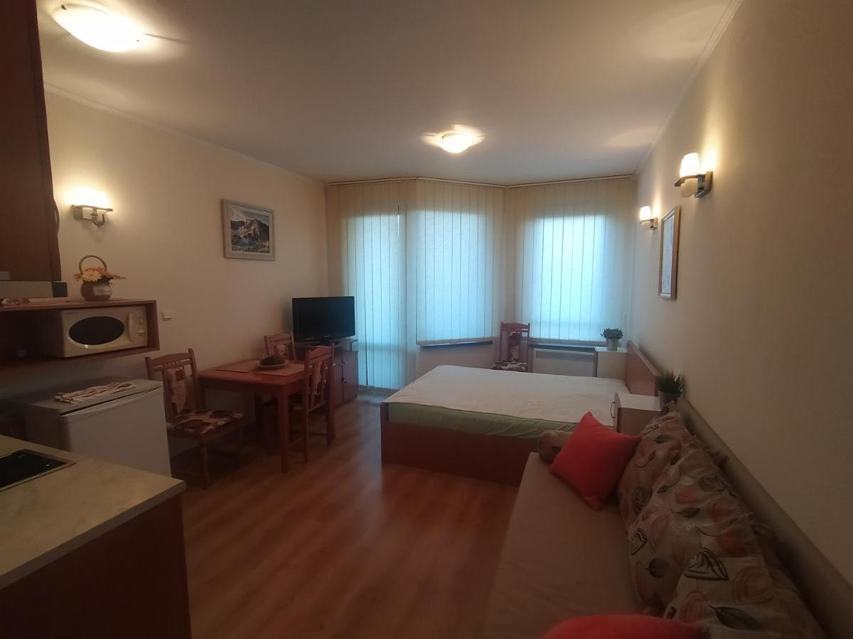 Pine Tree Studio B11 Bansko Extérieur photo