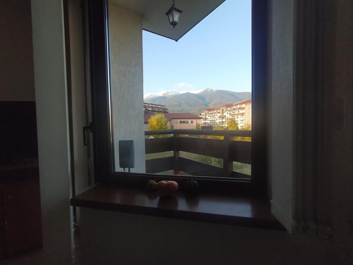 Pine Tree Studio B11 Bansko Extérieur photo