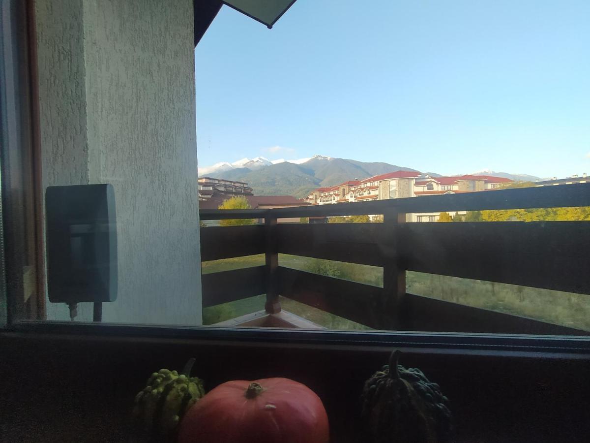 Pine Tree Studio B11 Bansko Extérieur photo