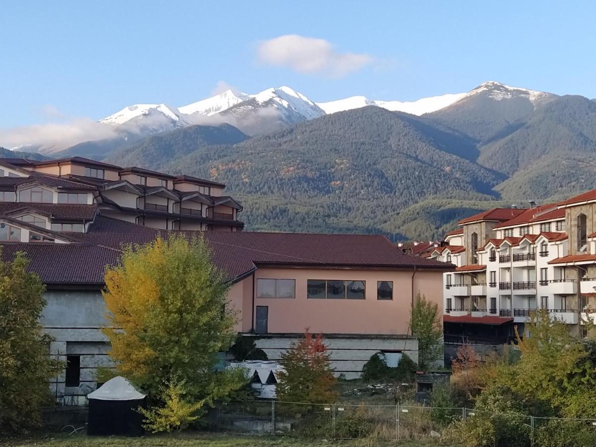 Pine Tree Studio B11 Bansko Extérieur photo