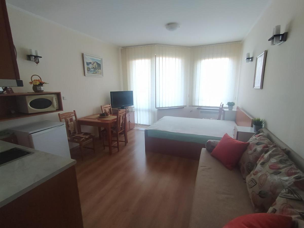 Pine Tree Studio B11 Bansko Extérieur photo