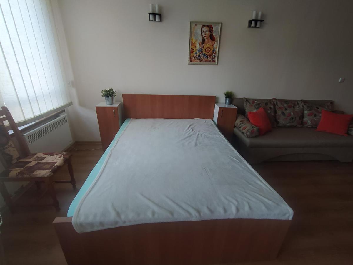 Pine Tree Studio B11 Bansko Extérieur photo