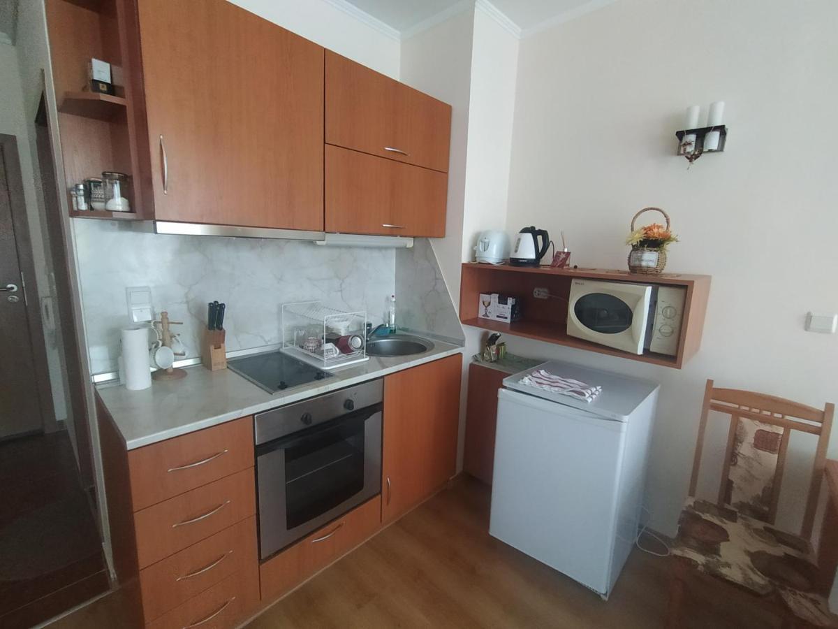 Pine Tree Studio B11 Bansko Extérieur photo