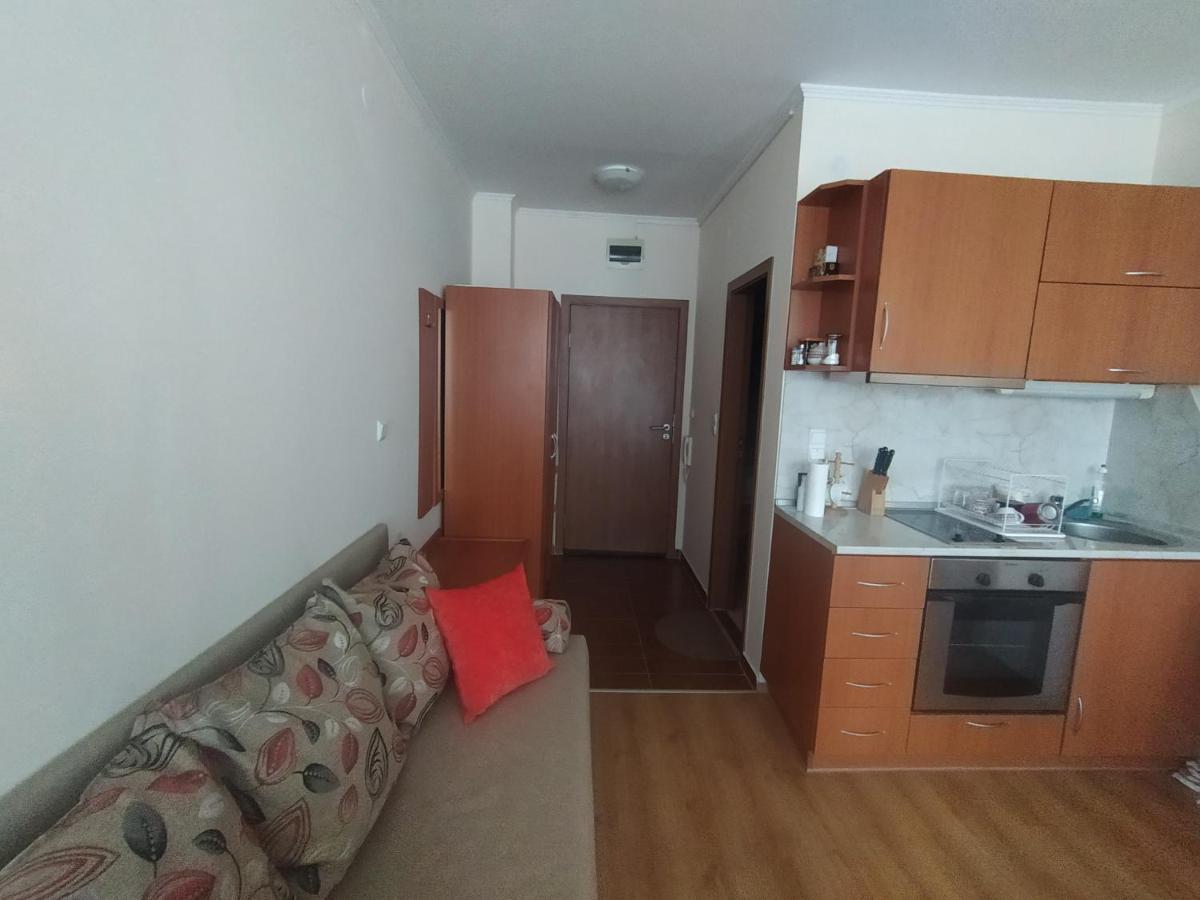 Pine Tree Studio B11 Bansko Extérieur photo