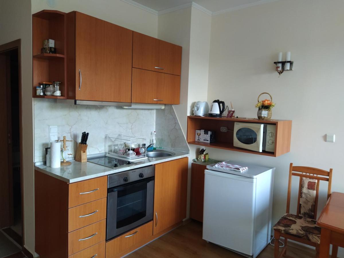 Pine Tree Studio B11 Bansko Extérieur photo