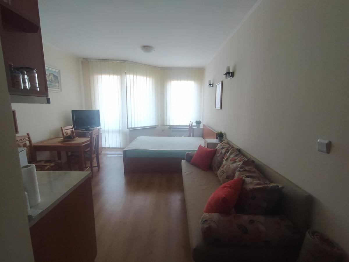Pine Tree Studio B11 Bansko Extérieur photo