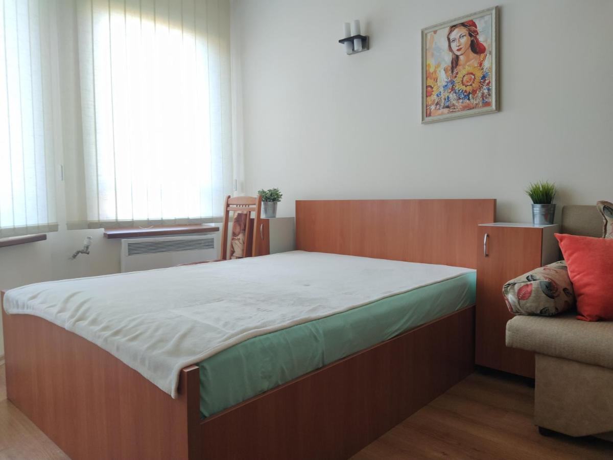 Pine Tree Studio B11 Bansko Extérieur photo